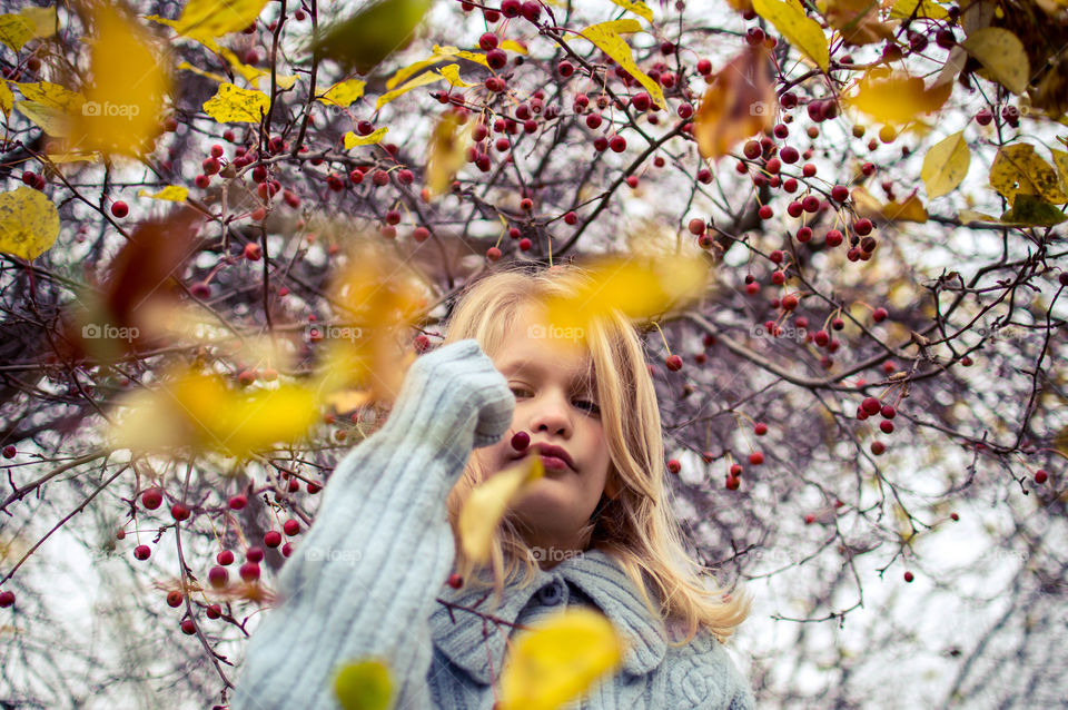 portrait of a girl in foliage with autumn berries