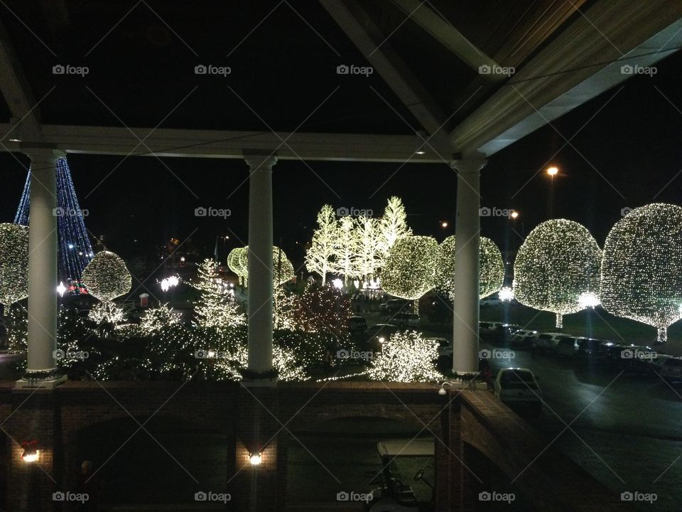 Christmas lights on trees