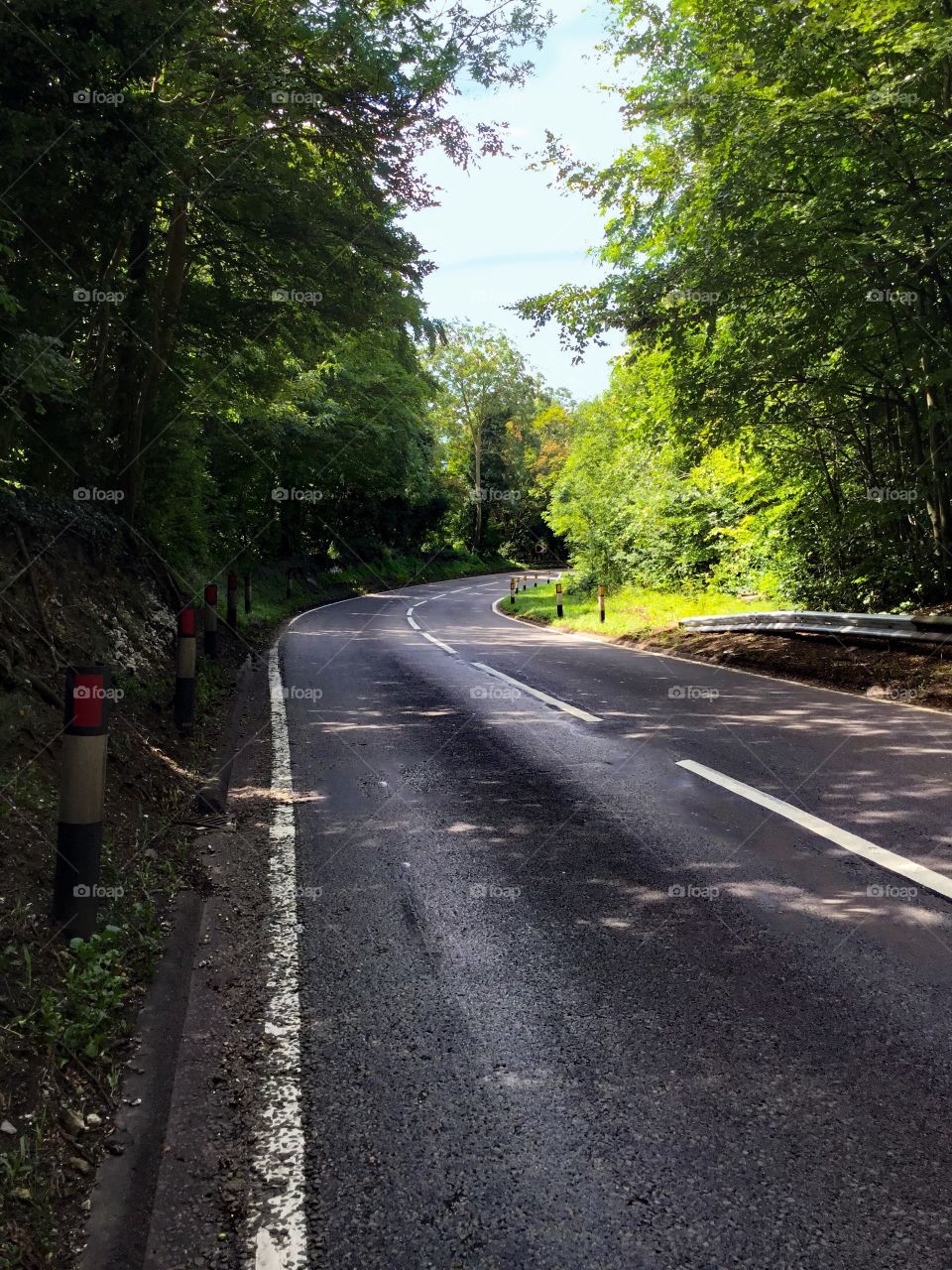 A green way in a woody hill
