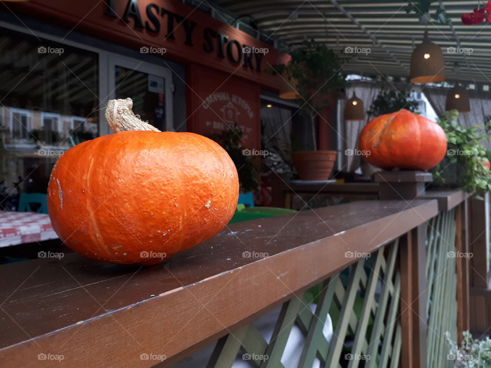 Pumpkins at the fence