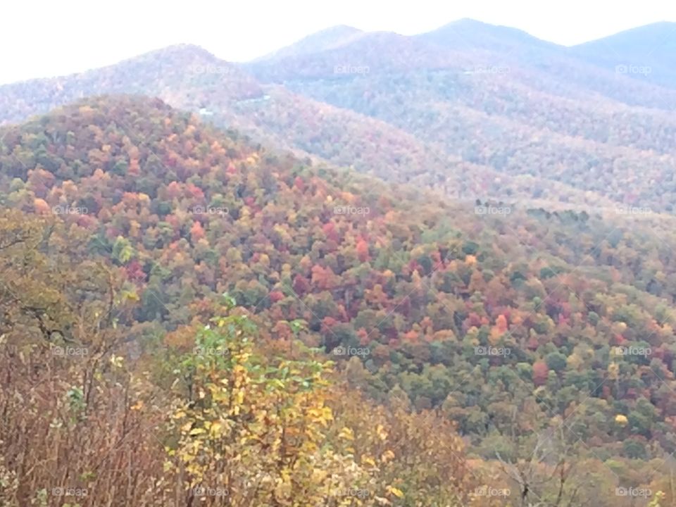Mountain, Landscape, Nature, Tree, Wood