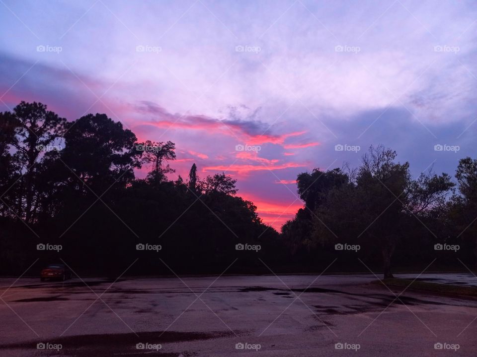 beautiful sunset clouds between trees