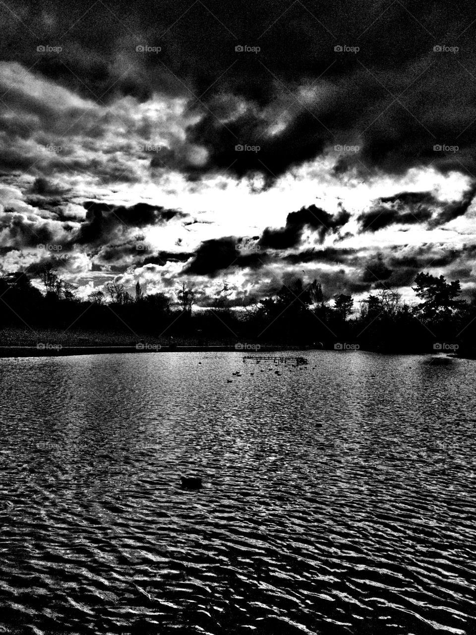 Monochrome, Beach, Water, Black And White, No Person