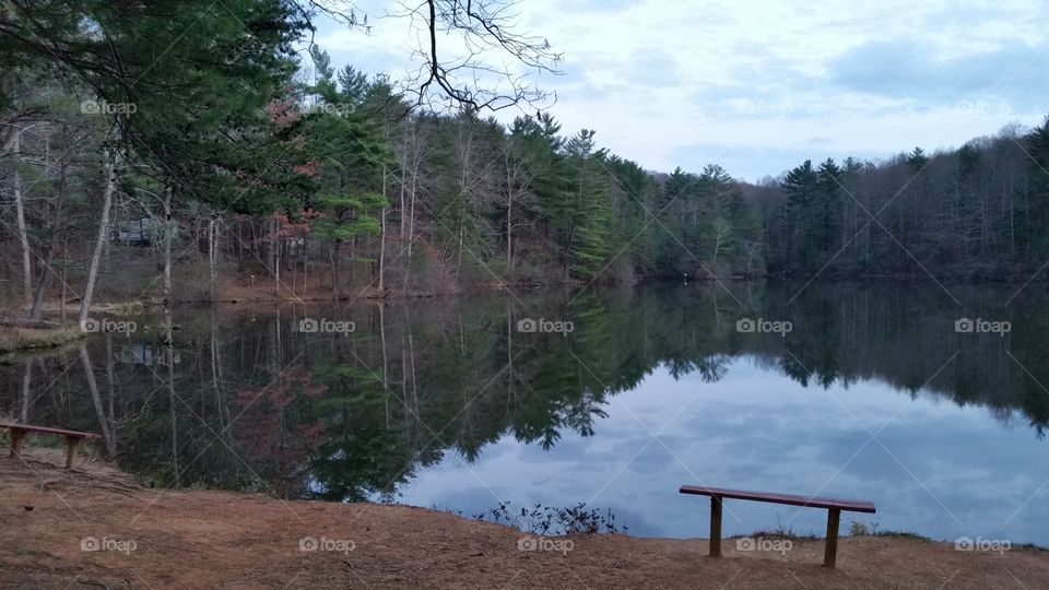 Lake bench