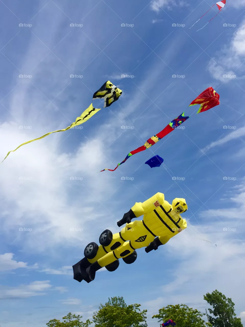 Kites