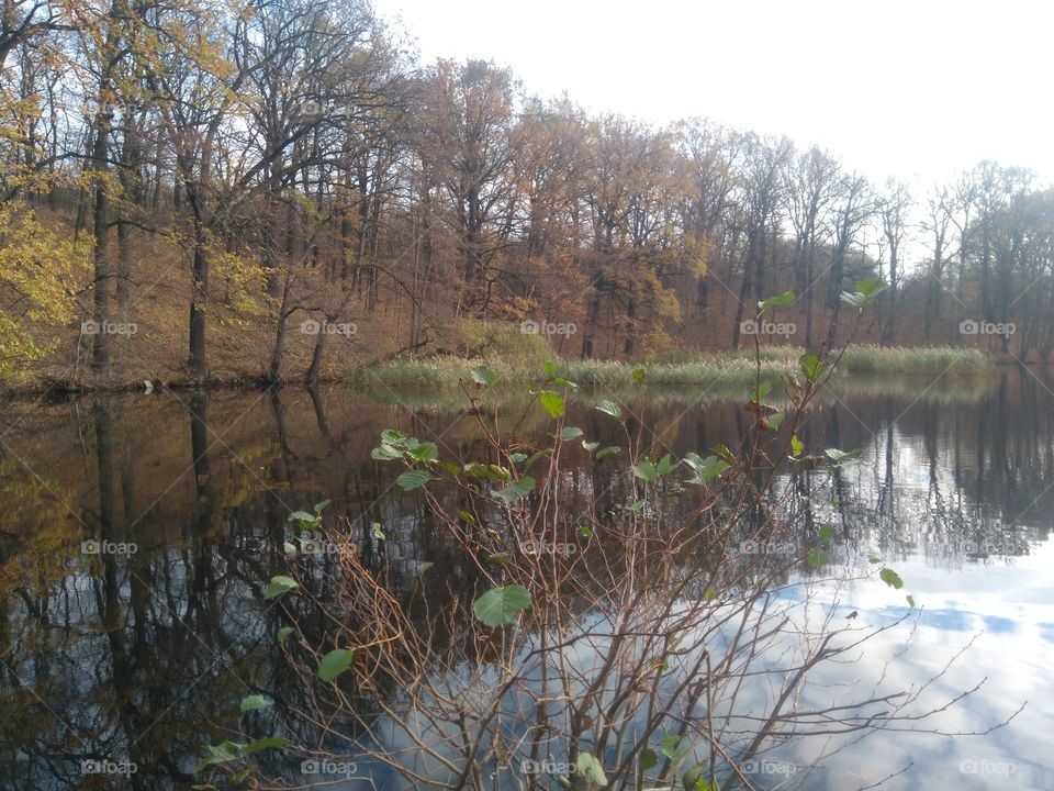 Ein kleiner, romantischer See zwischen Bäumen und Feldern