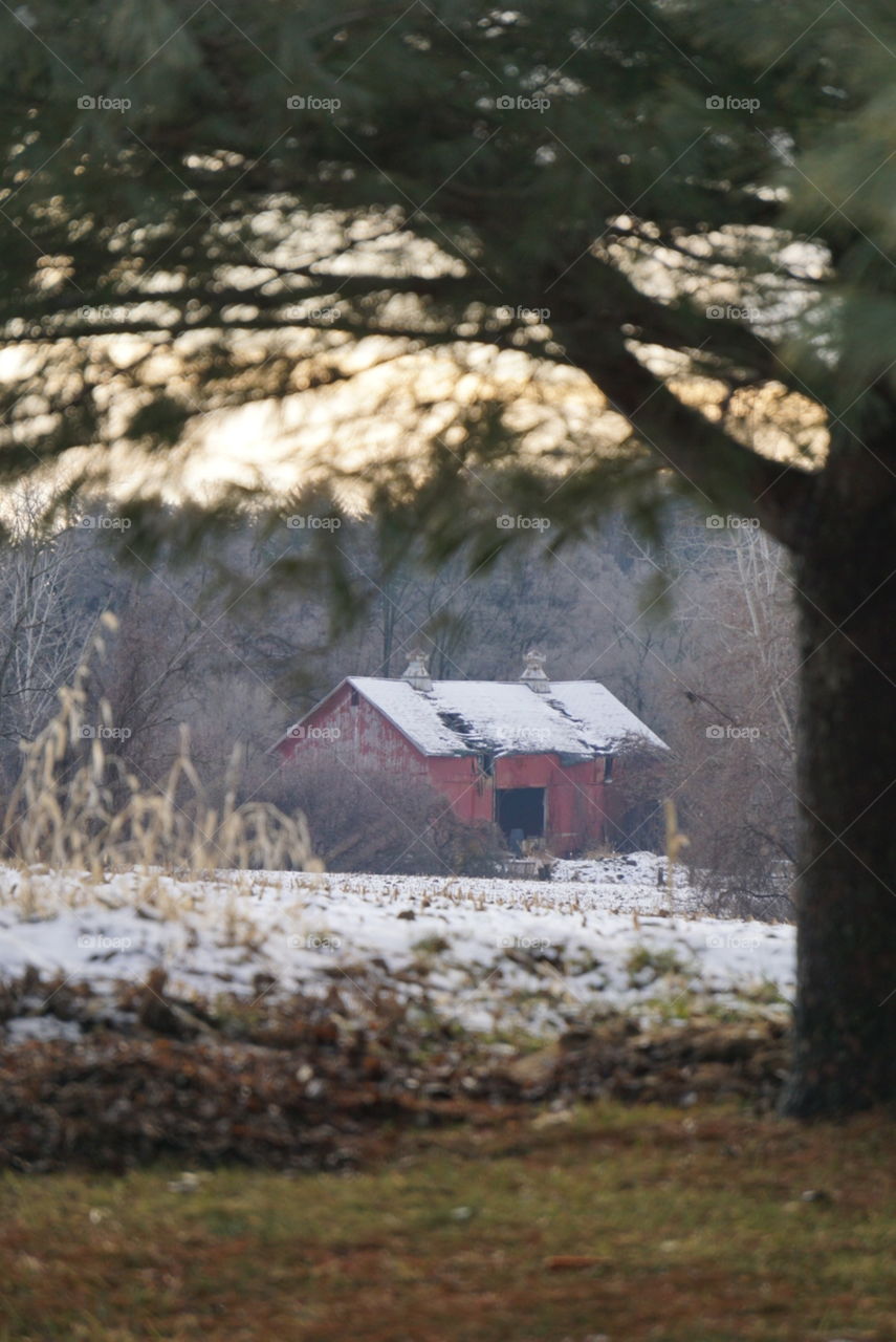 Rustic, red barn on the horizon. 