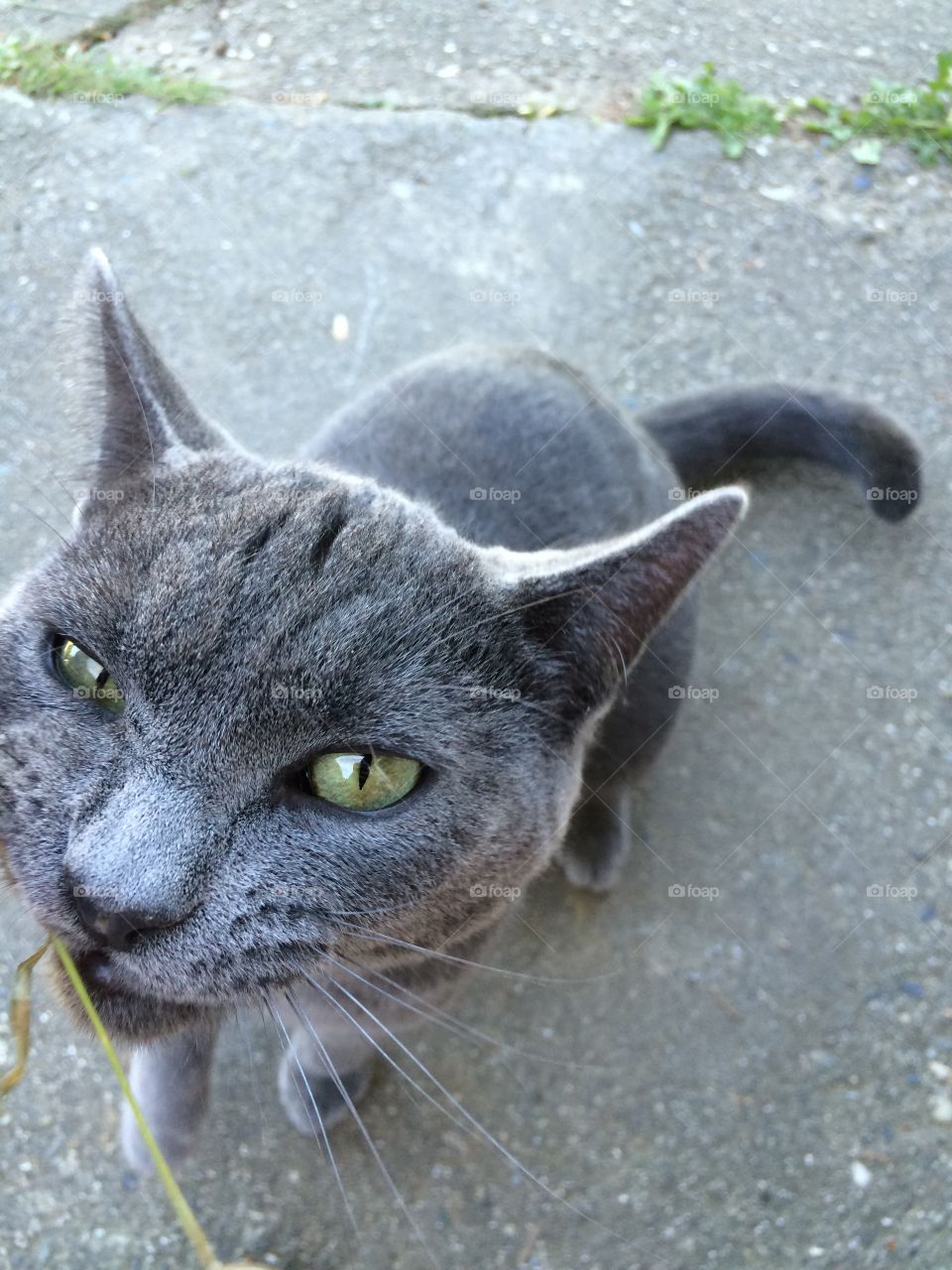 I've got my eye on you