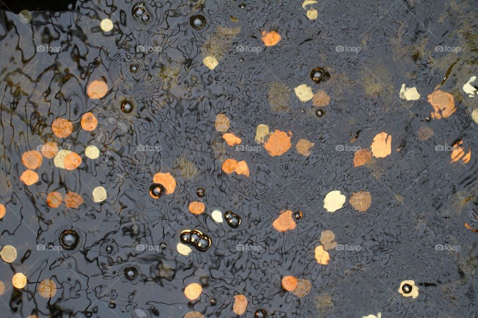 Water flowing over coins