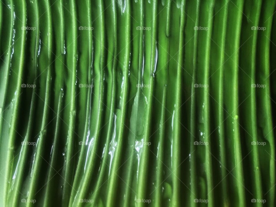 Beautiful texture catured in a banana leaf