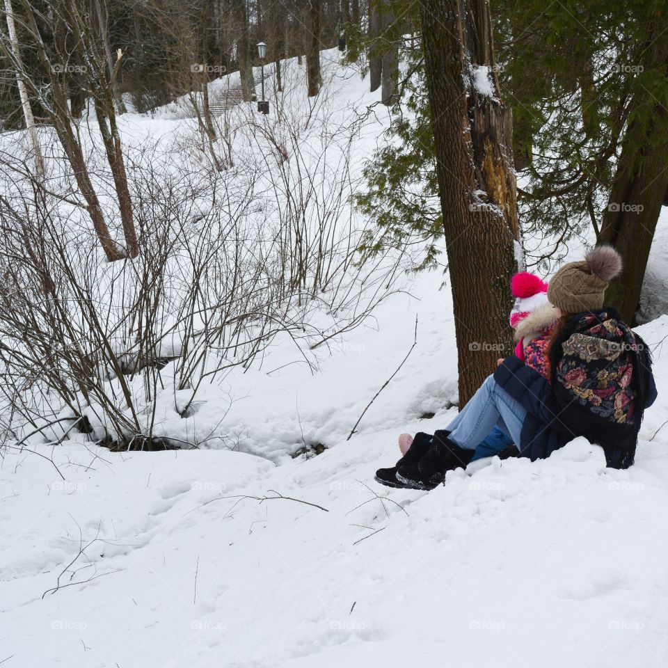 Snow, Winter, Cold, Ice, Sledge
