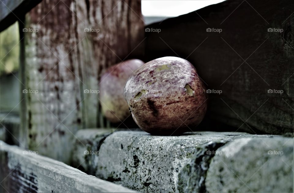 Same apples, different photos 👌