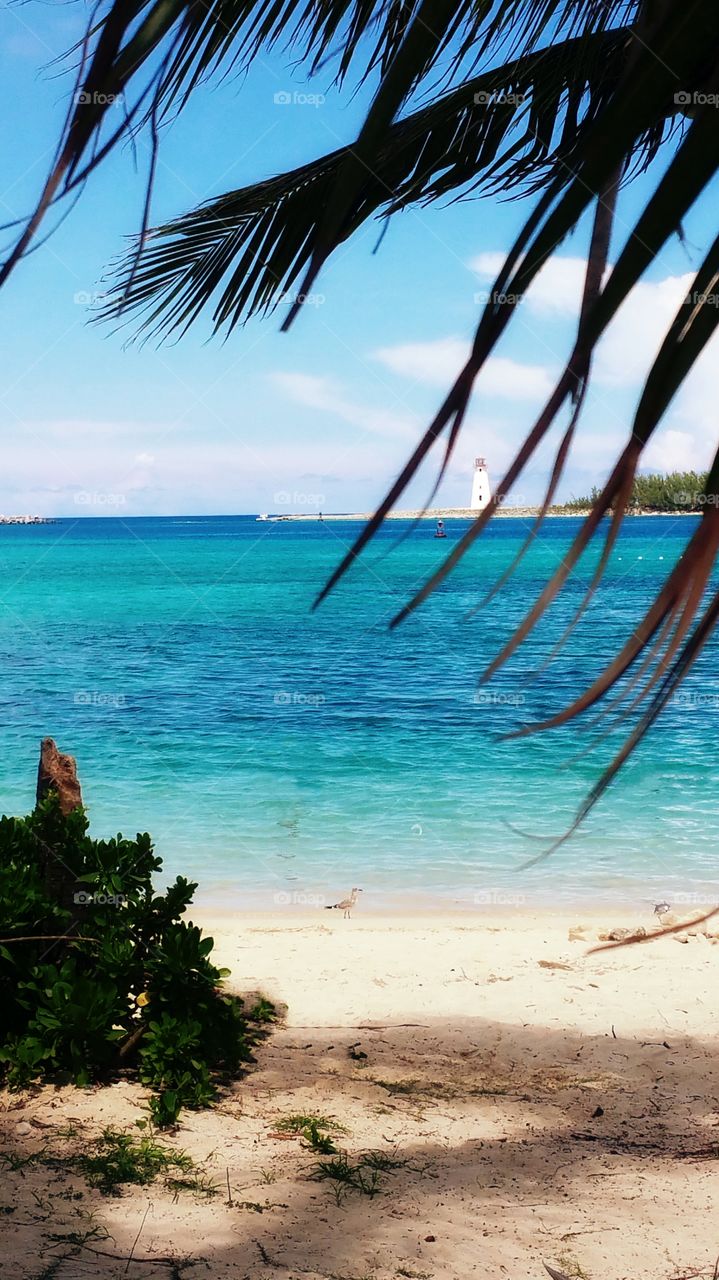 View of lighthouse on paradise island from under palm tree on Nassau Bahamas