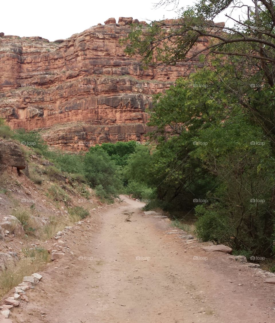 Beautiful and scenic trail as we horseback into the Grand Canyon