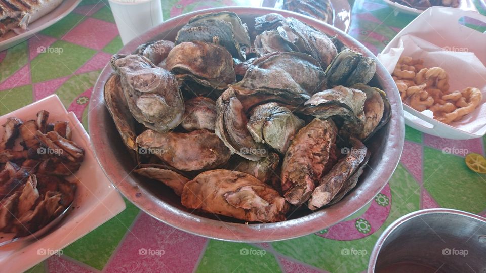 Bowl of oysters