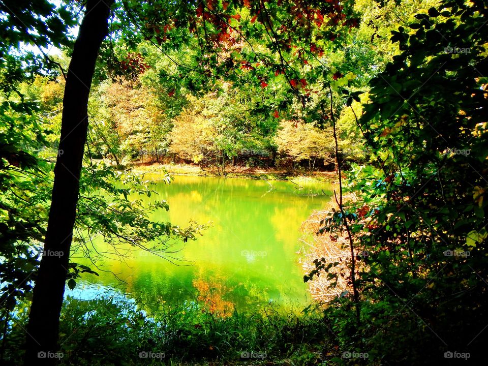 Beautiful lake in the woods in fall