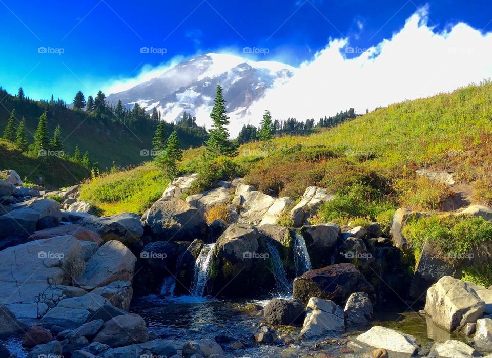 Mt Rainier small waterfall