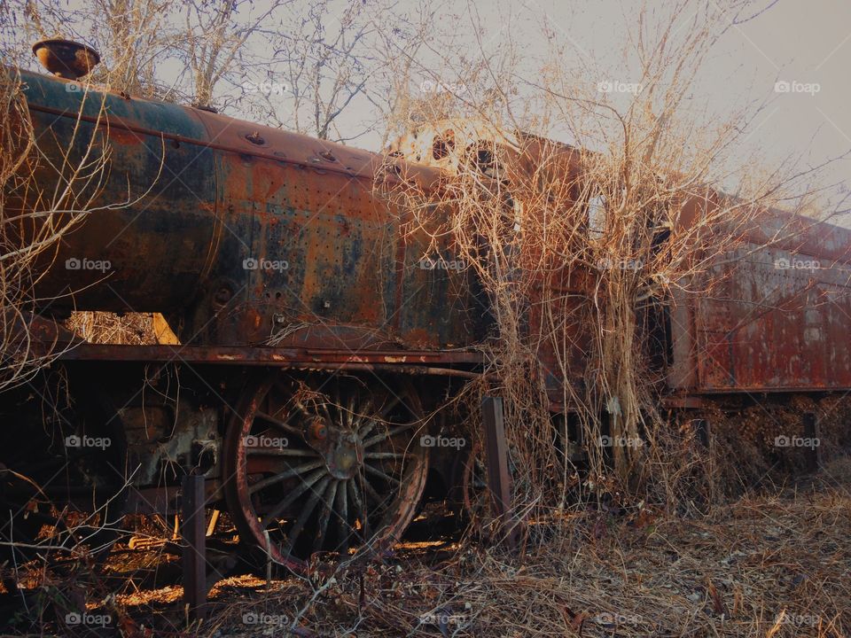 old train need to find some place in museum