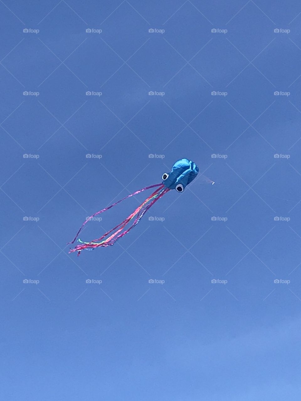 A squid kite on South Beach