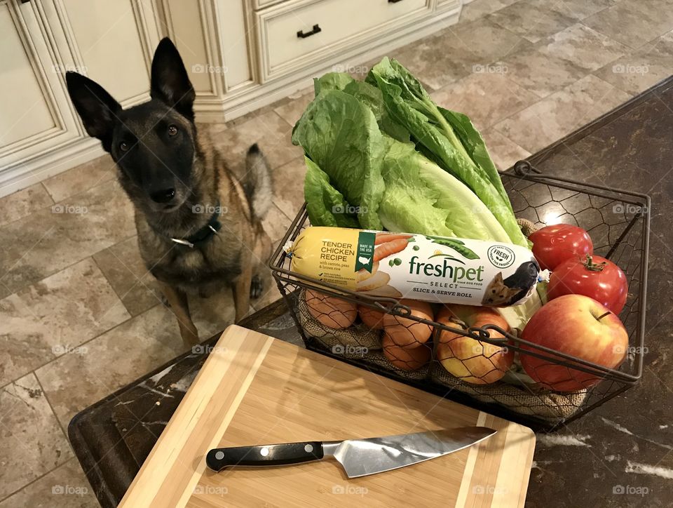 Dogs and cats everywhere know that Freshpet Select is the smart and healthy choice for fresh and natural meals. 