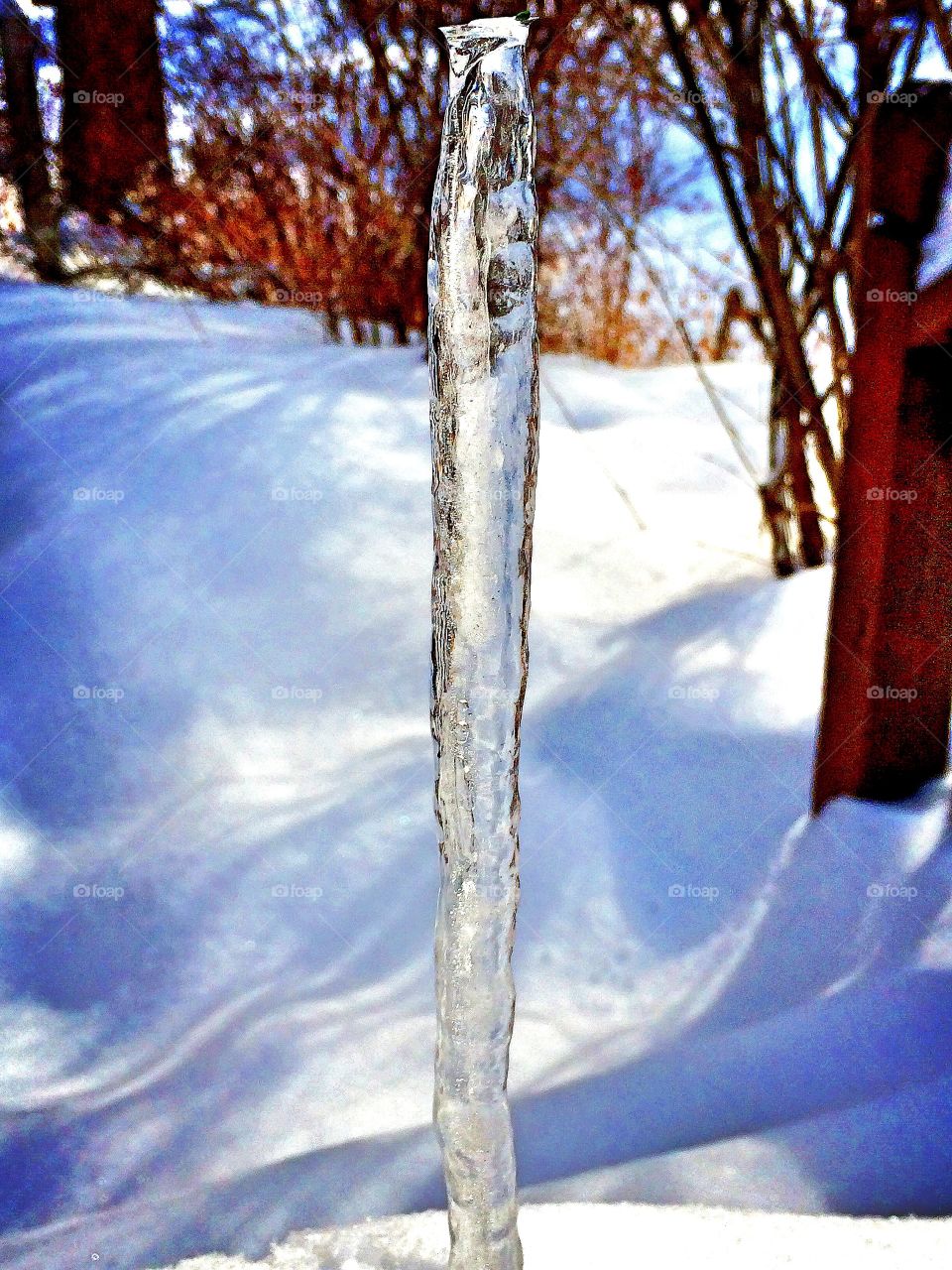 Icicle 