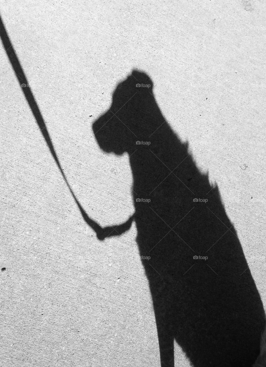 My shadow