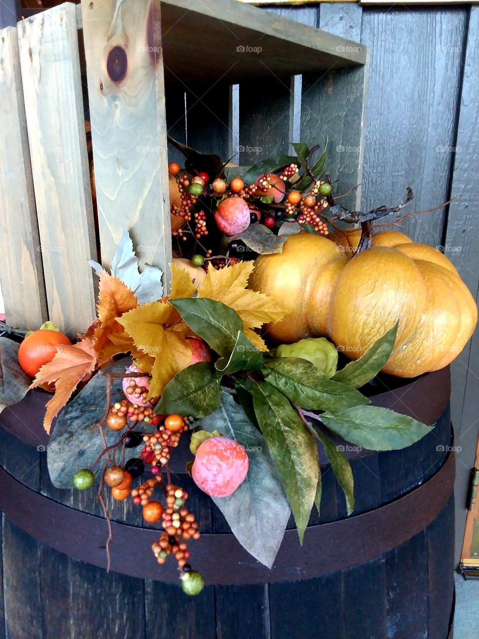 Pumpkin, Fall, Thanksgiving, Food, Pasture