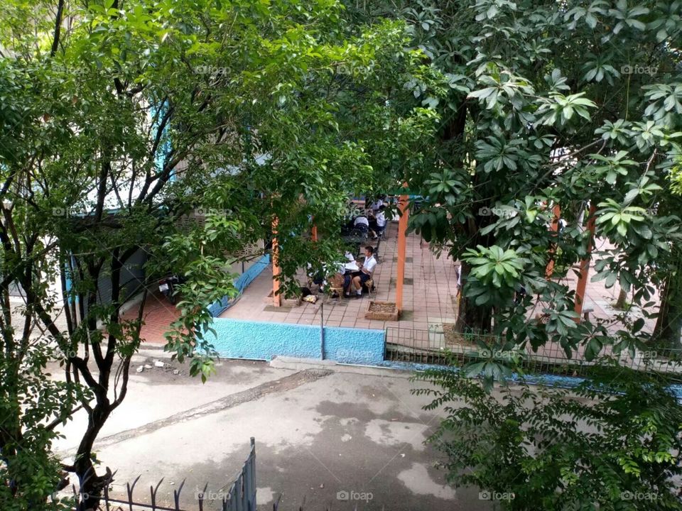 Thai Songkhla student