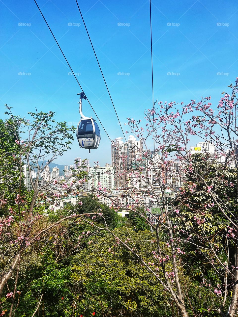 cable car