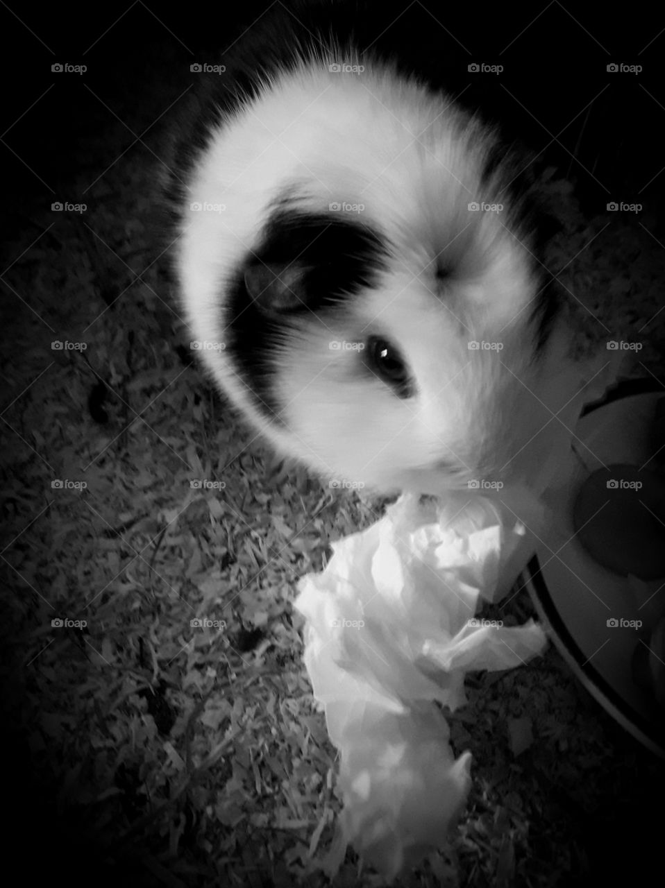 Play time is the best time ! x2