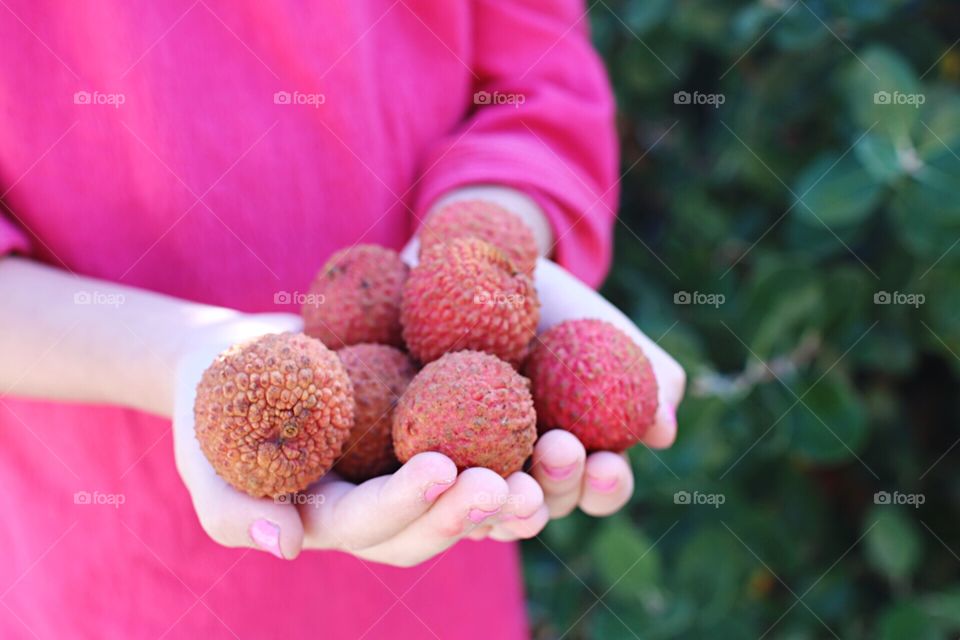 Lychee 