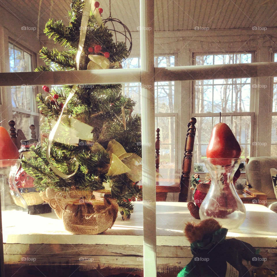 Looking through the window around christmas