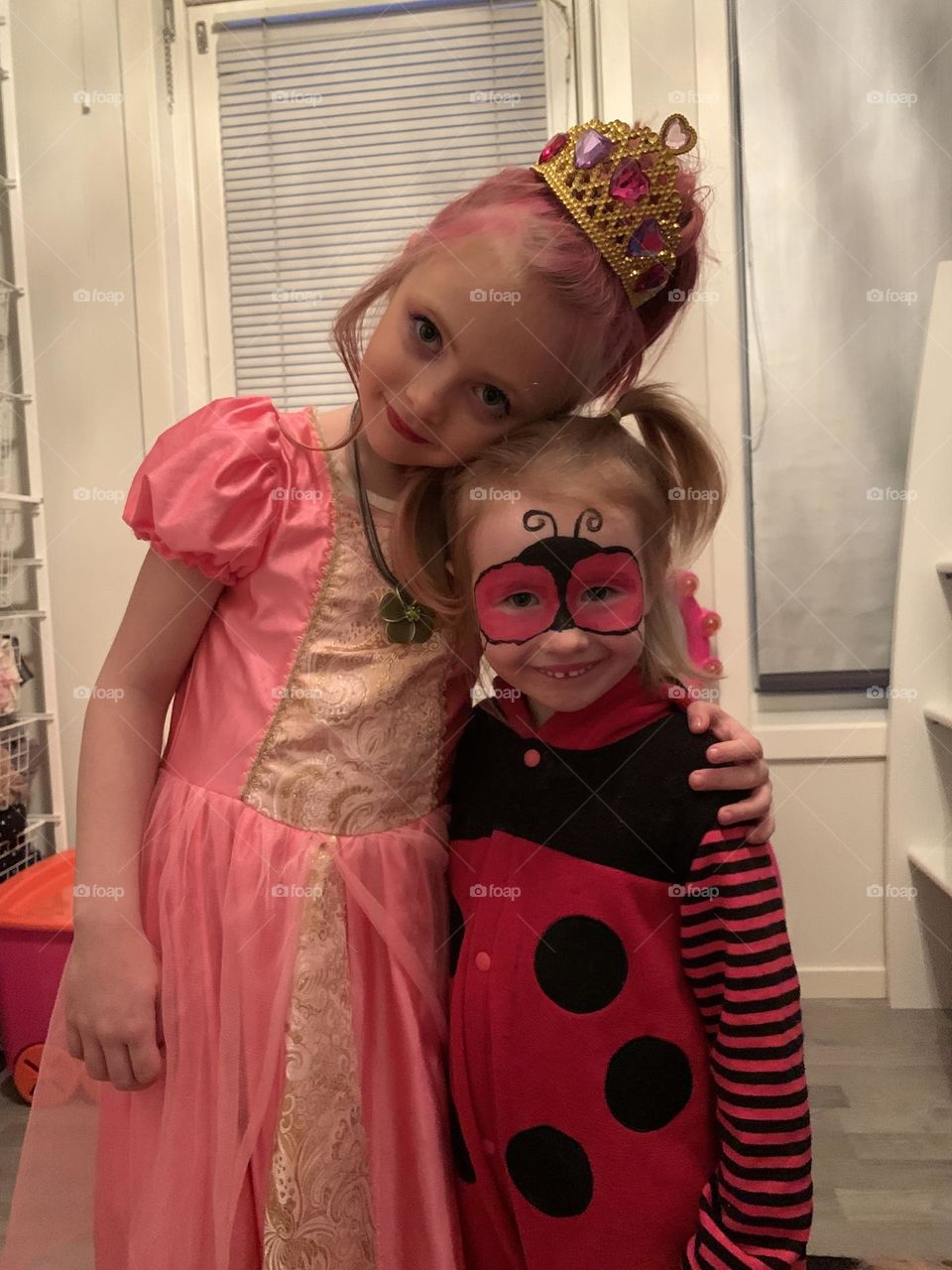 The princess and the ladybug 