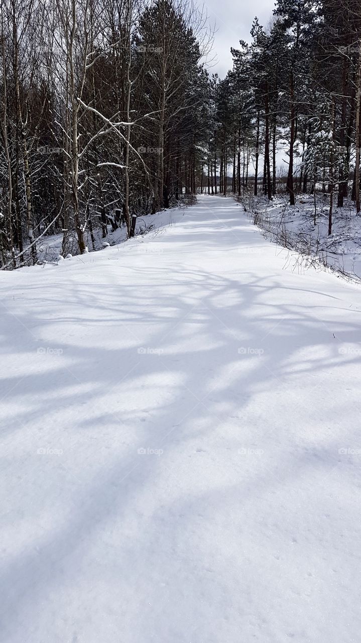 Fresh snow on road in the forest - ny orörd snö på väg i skogen, vinter vår aprilväder 