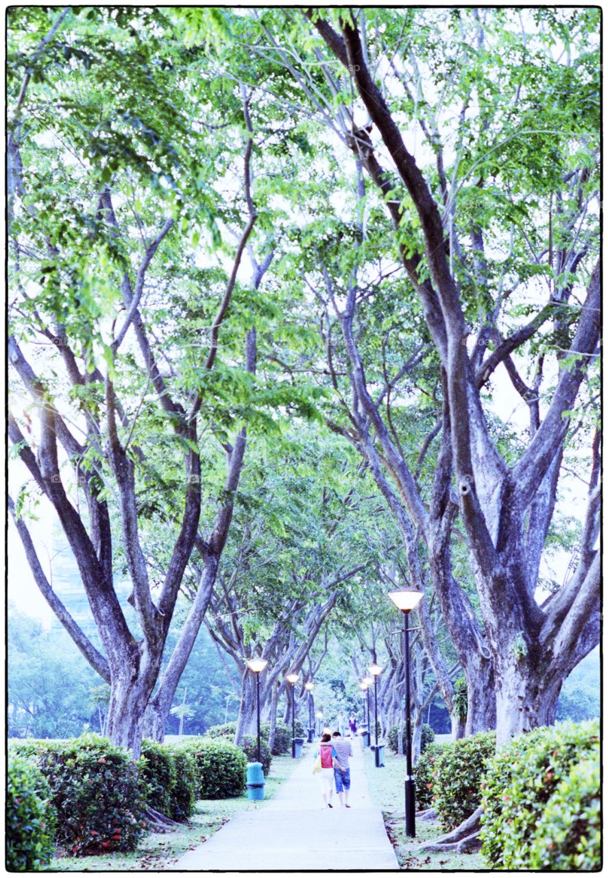 Path to Chinese Garden. Singapore