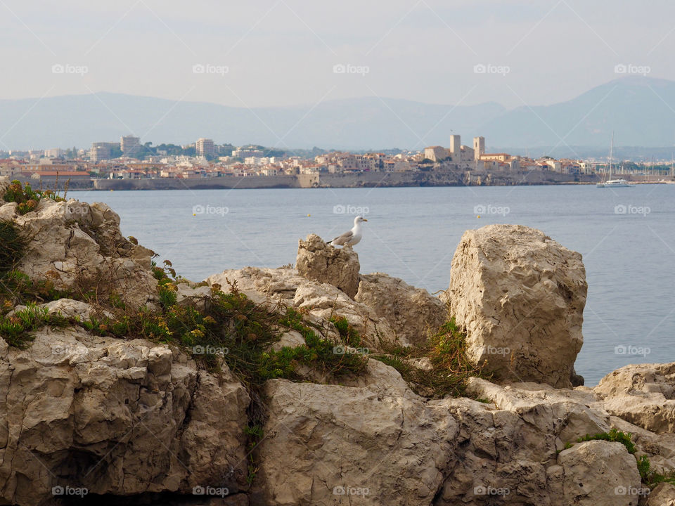 Scenic view of the blue water off the coast of Antibes in the south of France.