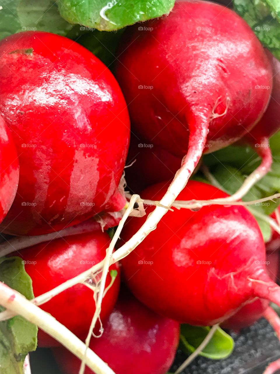 Radishes add a touch of zing to any salad as well as a bright red freshness. 