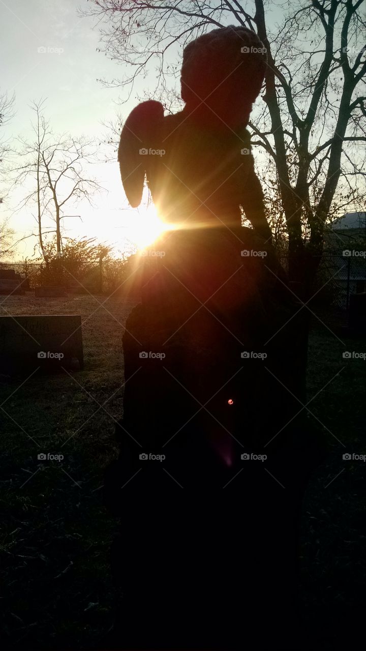 Sunlight and Angel