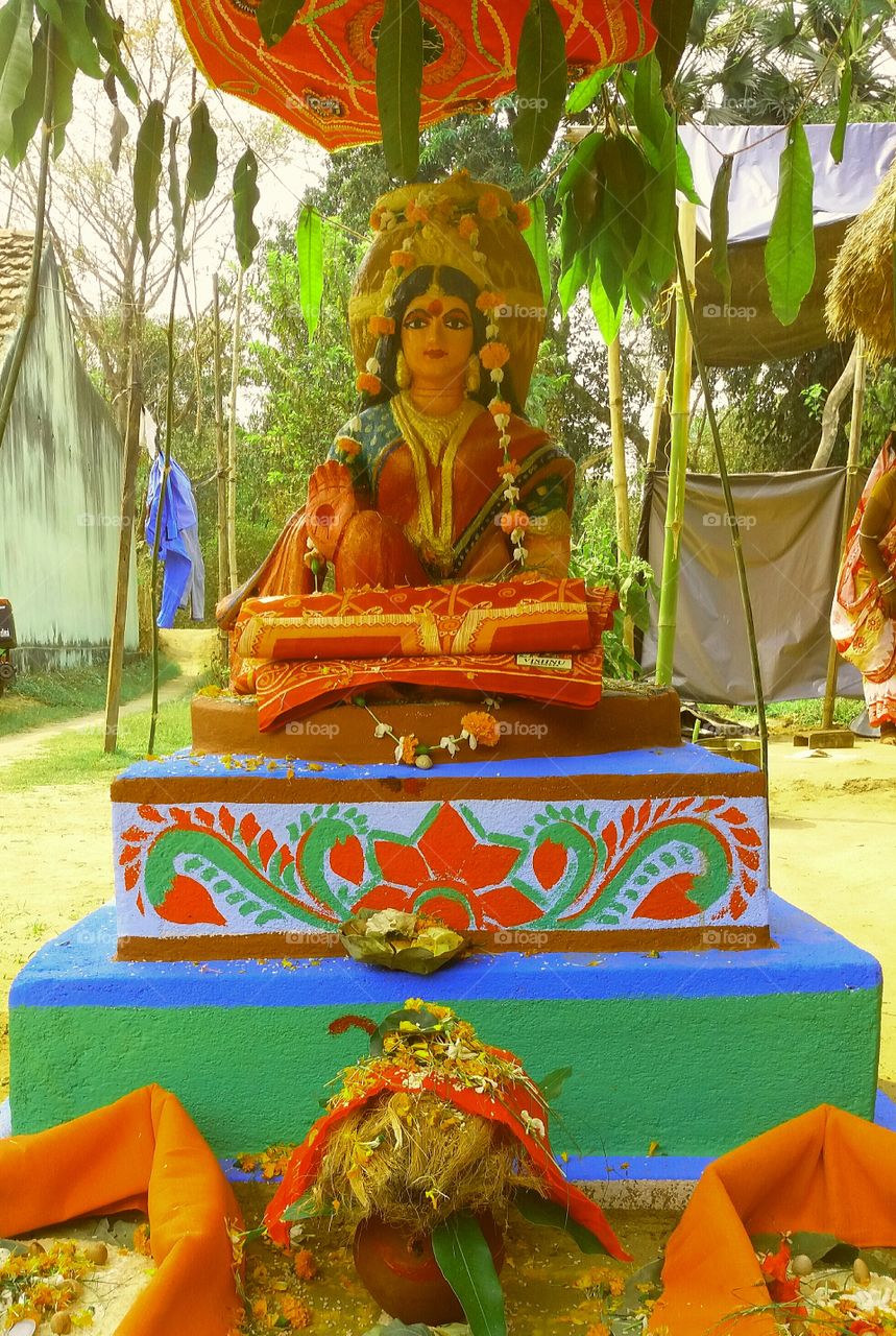 Goddess Basil. Worshiped in India as Tulsi maata.