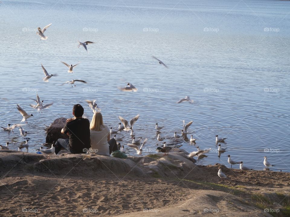Couple among seagulls