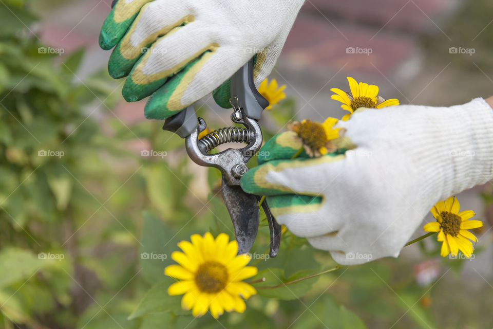 Gardening