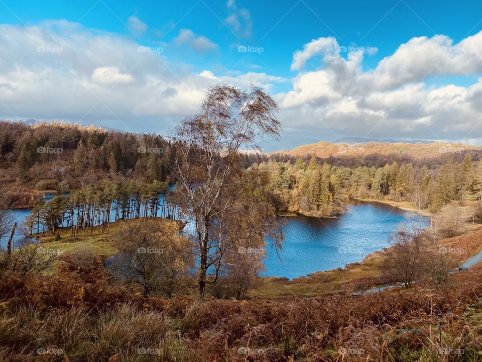 Tarn hows 