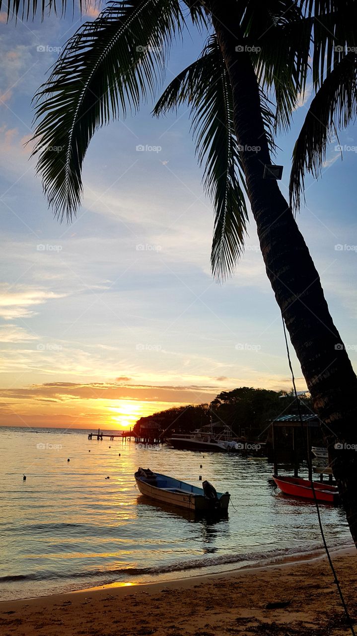 Hermosa vista de puesta del sol debajo de una palmera de coco en la playa de Utila. Islas de la Bahia. Honduras.