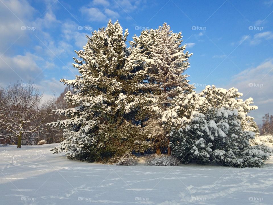 Winter in Poland 