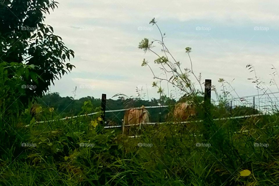 Driving the Back Roads and enjoying everything around us