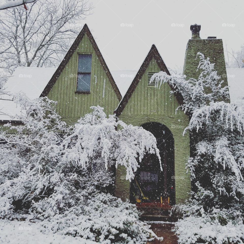 Snowy tudor