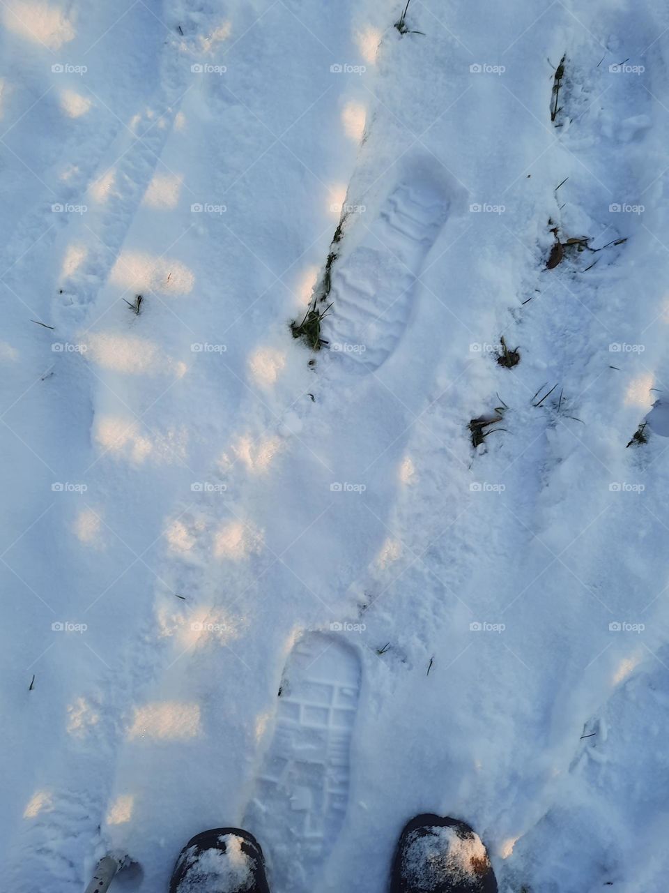 snow sunspots and footprints