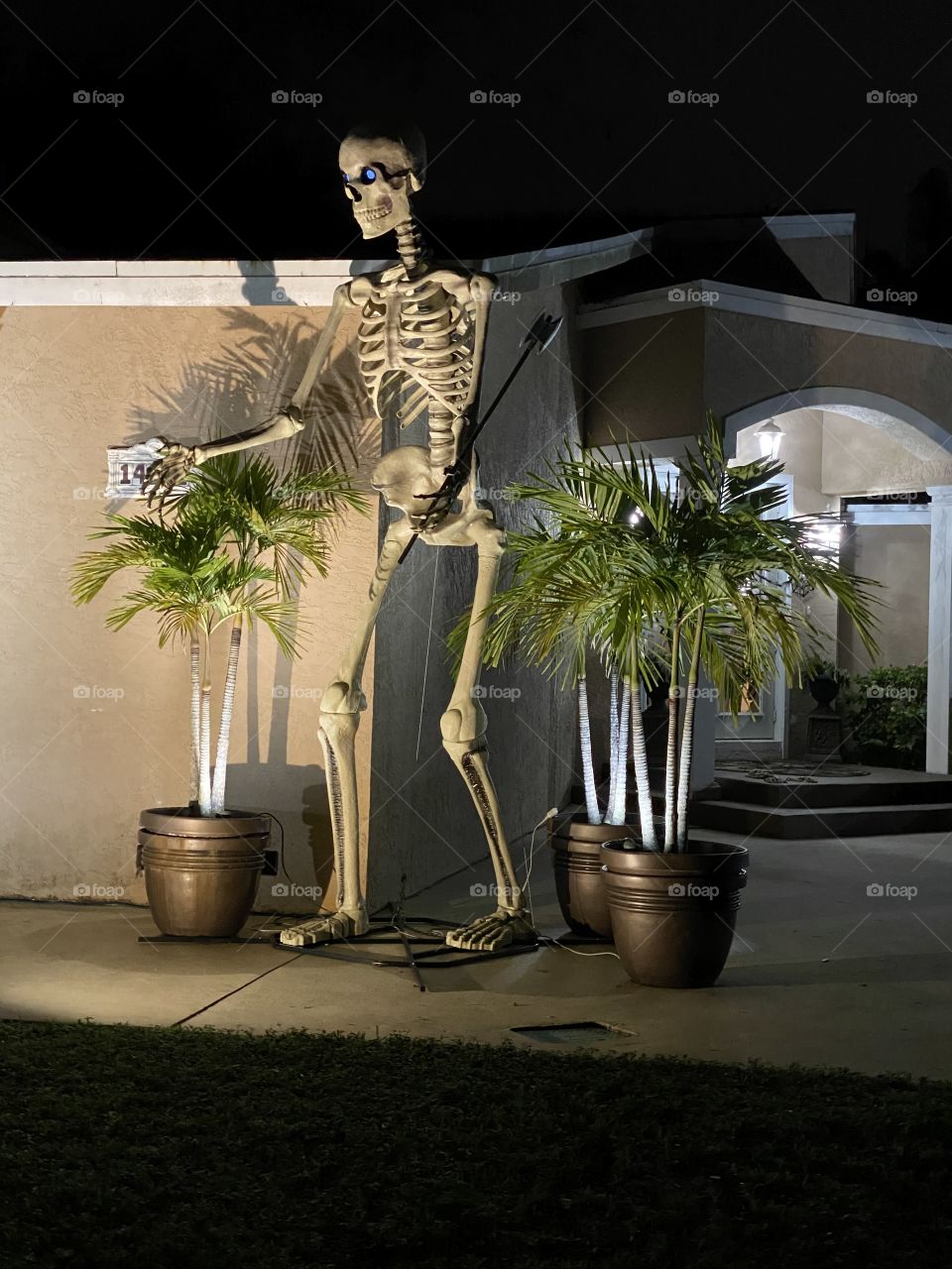 Scary tall skeleton 