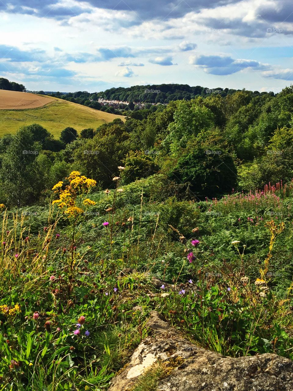 Rolling hills and rural landscape in Yorkshire