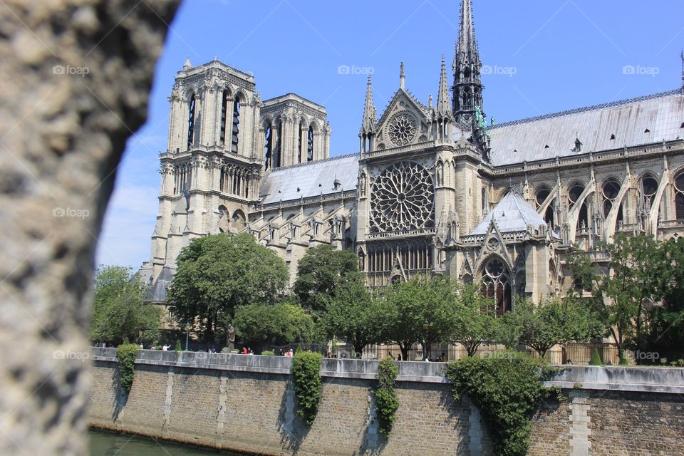 Side of Notre Dame. 